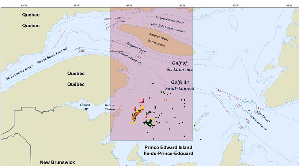 Dossier spécial (3e partie) : Les centres de SCTM de la Garde côtière participent à la protection des baleines noires