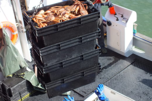 Près de 30 000$ d’amendes pour des pêcheurs gaspésiens